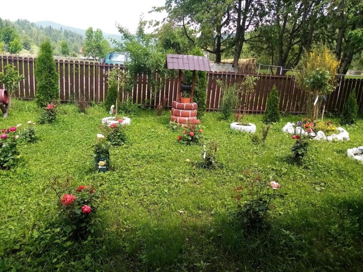 Casa Ionescu Hotel Sadova  Luaran gambar
