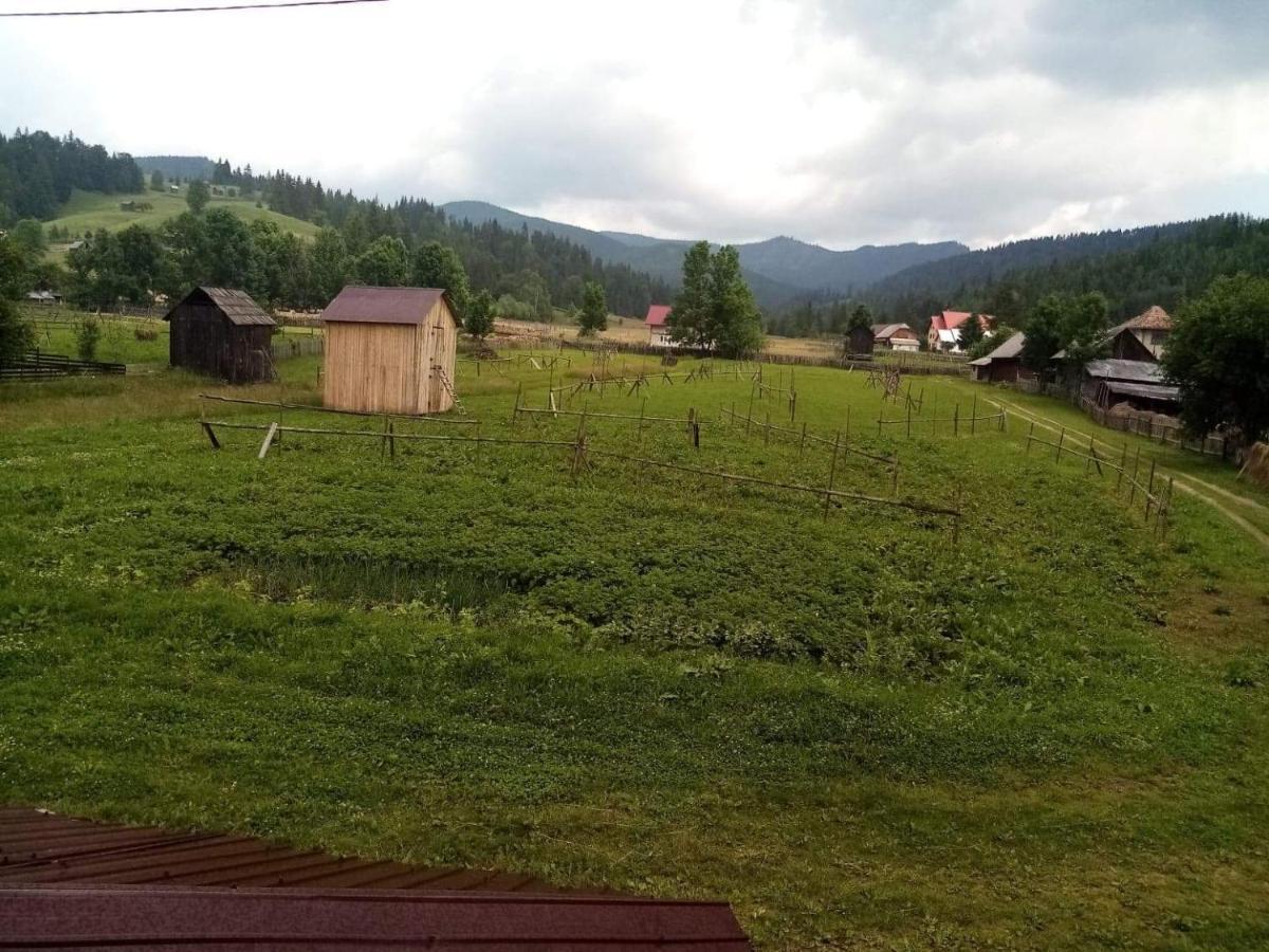 Casa Ionescu Hotel Sadova  Luaran gambar