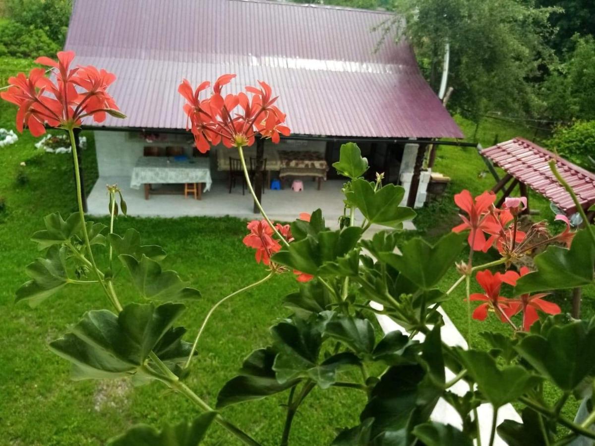 Casa Ionescu Hotel Sadova  Luaran gambar