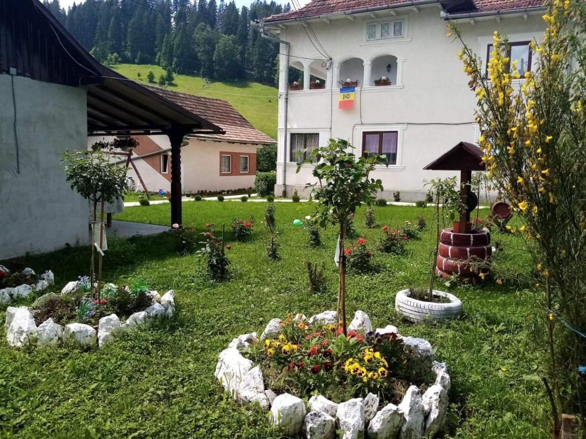 Casa Ionescu Hotel Sadova  Luaran gambar