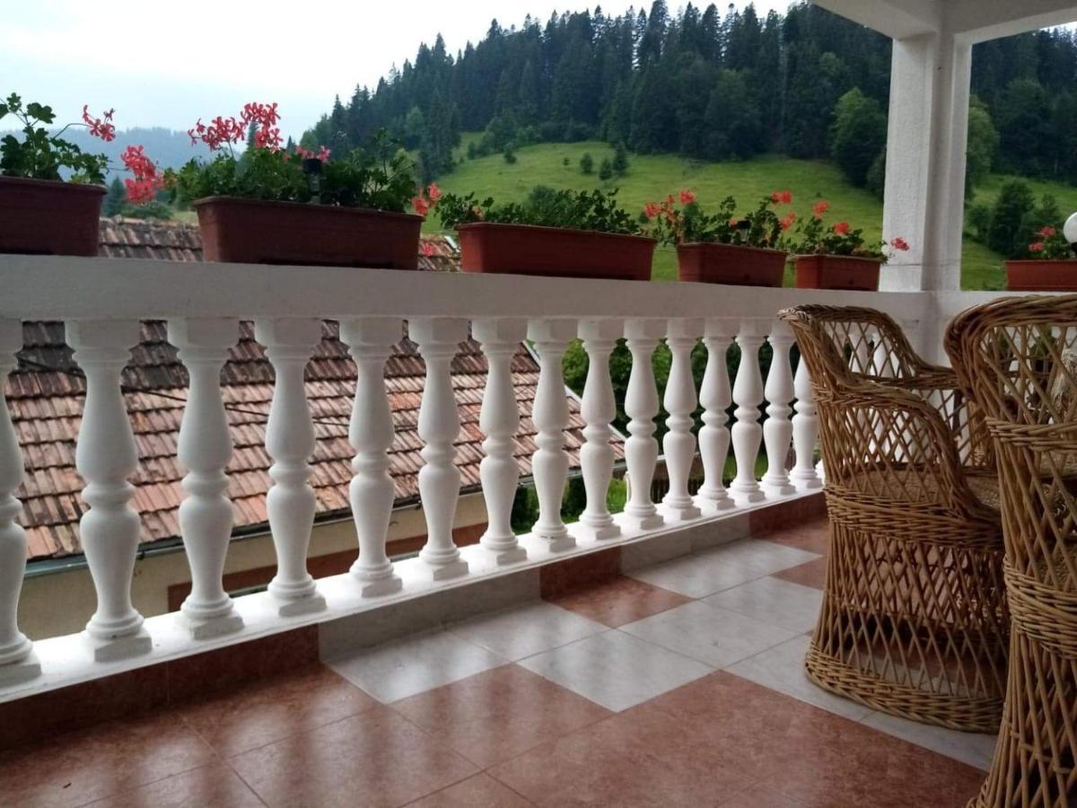 Casa Ionescu Hotel Sadova  Luaran gambar