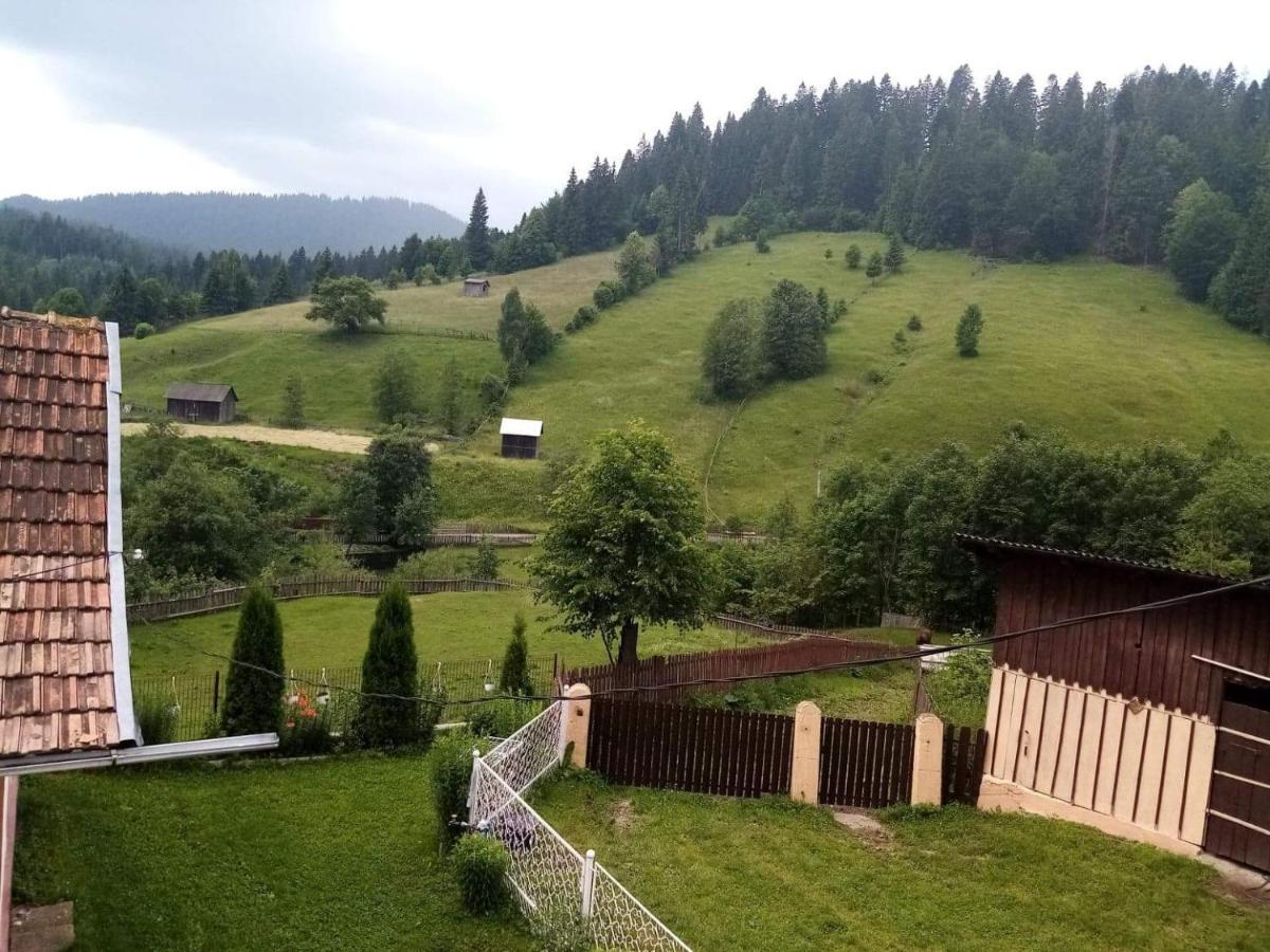 Casa Ionescu Hotel Sadova  Luaran gambar