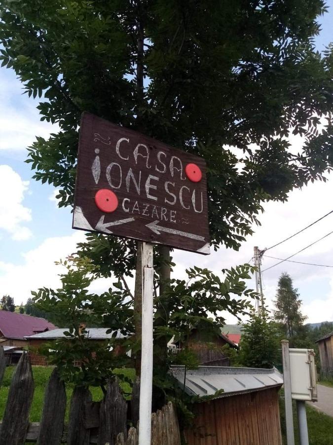 Casa Ionescu Hotel Sadova  Luaran gambar