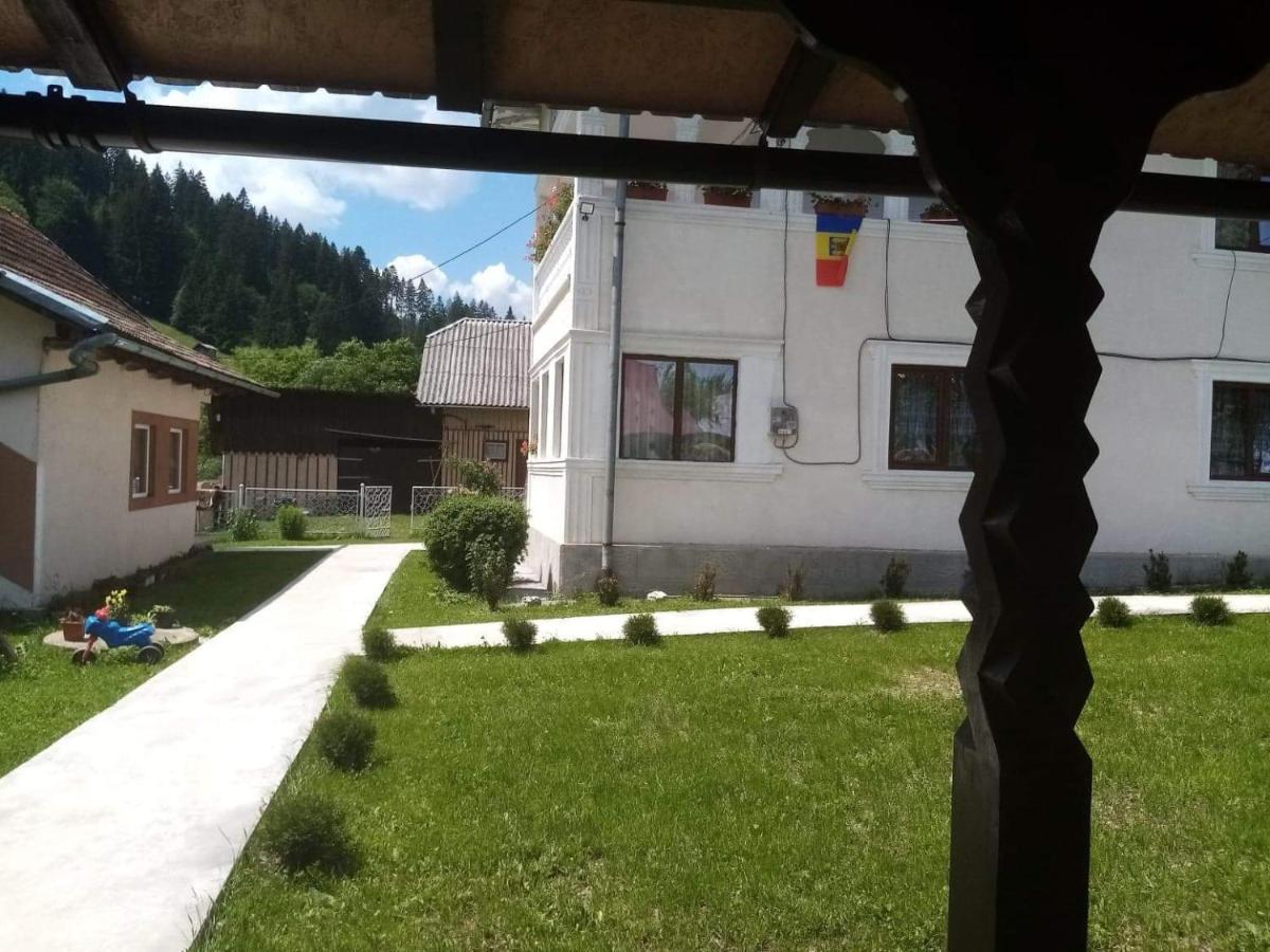 Casa Ionescu Hotel Sadova  Luaran gambar
