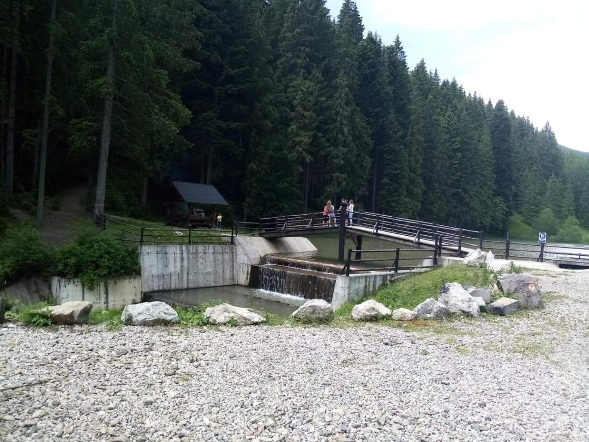 Casa Ionescu Hotel Sadova  Luaran gambar