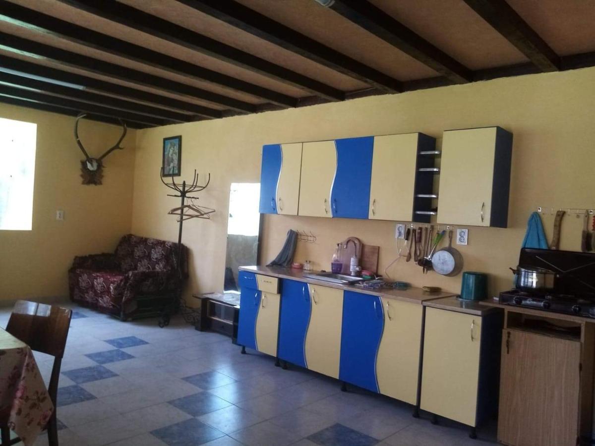 Casa Ionescu Hotel Sadova  Luaran gambar