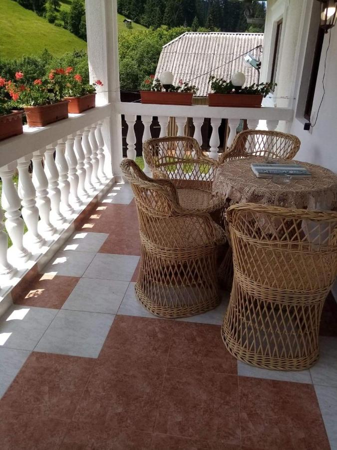 Casa Ionescu Hotel Sadova  Luaran gambar