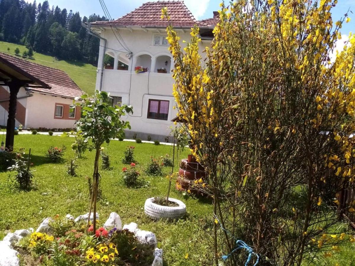Casa Ionescu Hotel Sadova  Luaran gambar