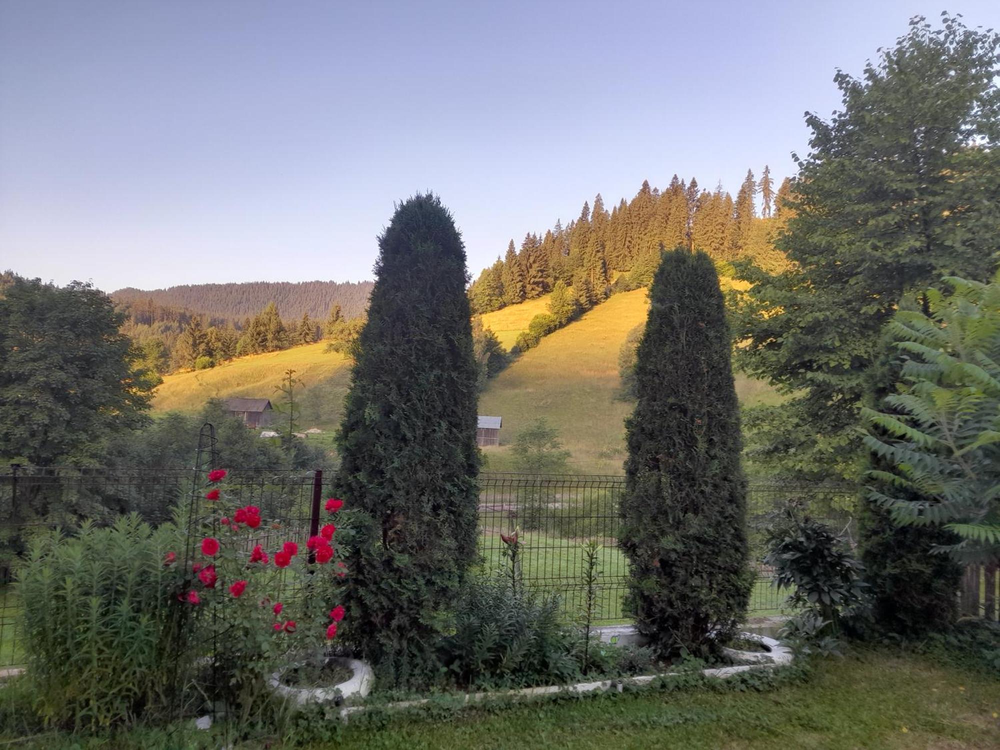 Casa Ionescu Hotel Sadova  Luaran gambar