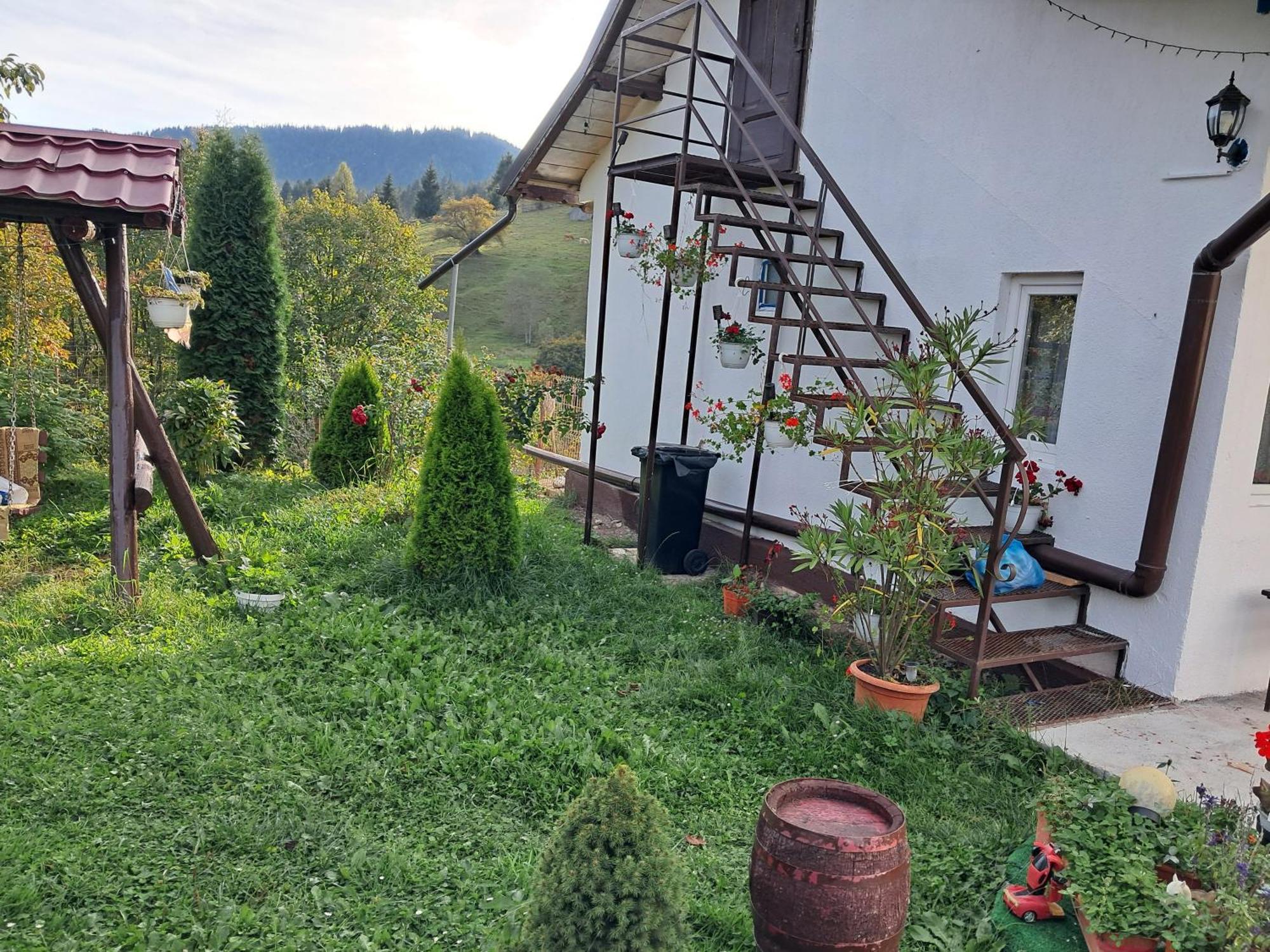 Casa Ionescu Hotel Sadova  Bilik gambar