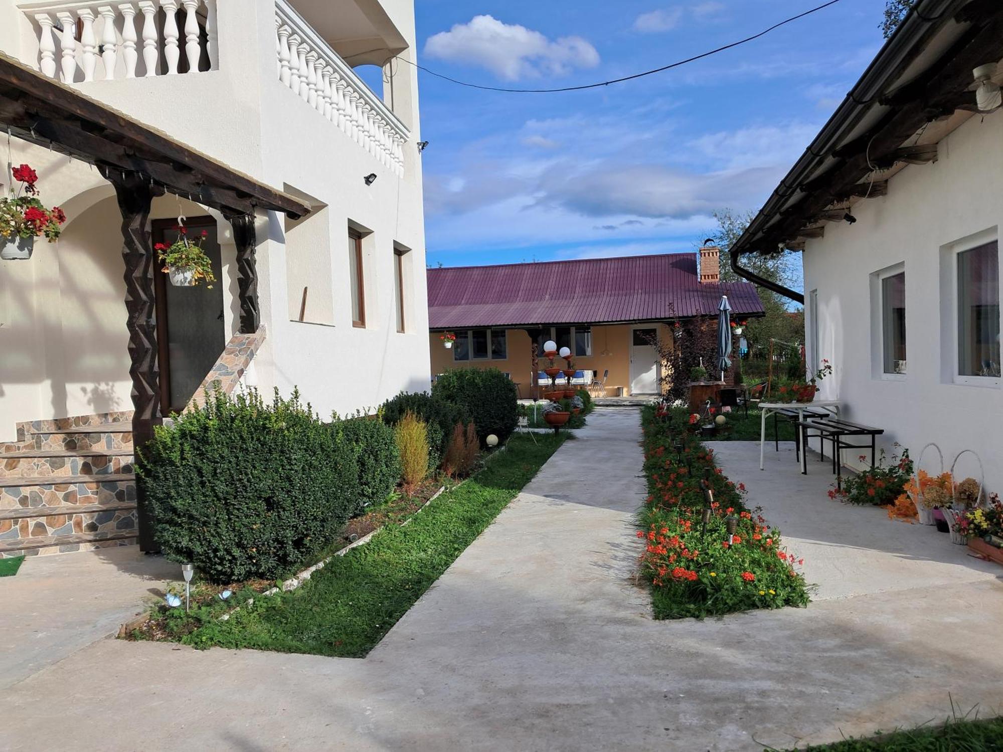 Casa Ionescu Hotel Sadova  Bilik gambar