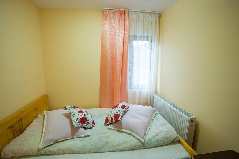 Casa Ionescu Hotel Sadova  Luaran gambar